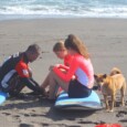 Surfing coaches and activities arranged by Bali Surf Tours.