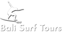 Surf Guides, Surf Lessons and Fishing Trips in Bali – Bali Surf Tours